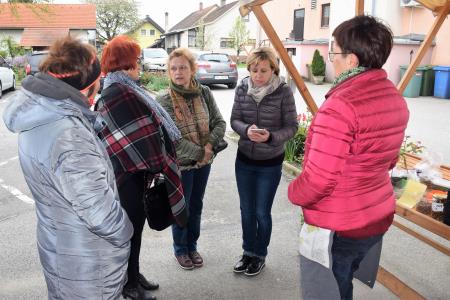 Zelemenjava prvič na Razkrižju 1